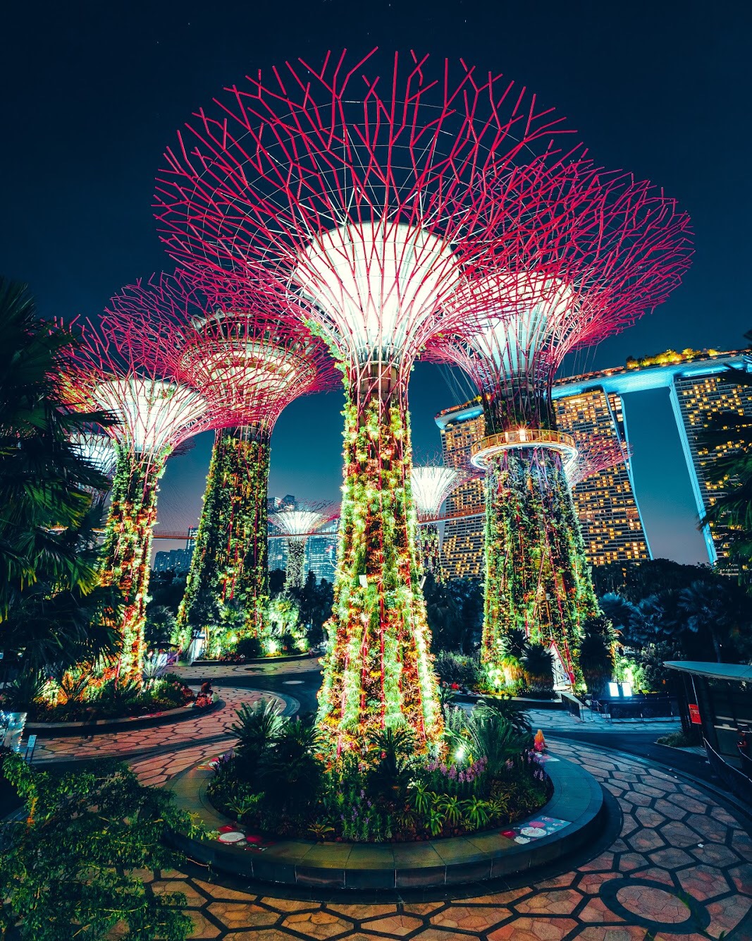 singapore supertrees